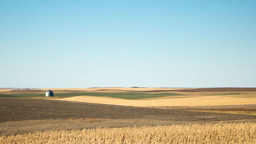 Scenic view of field against clear sky