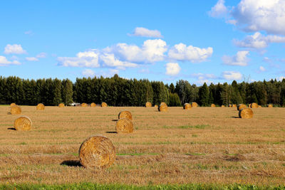 Hay bales on field against sky