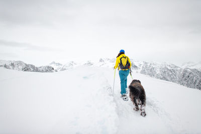 Rear view of a dog in snow