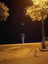 Illuminated tree against sky at night