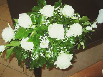 Close-up of white flowers