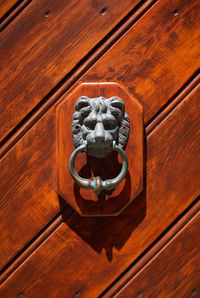 Closeup of a metal door knocker on wooden door