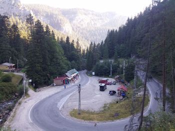 Road passing through a forest