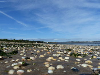 Surface level of pebbles on beach against sky