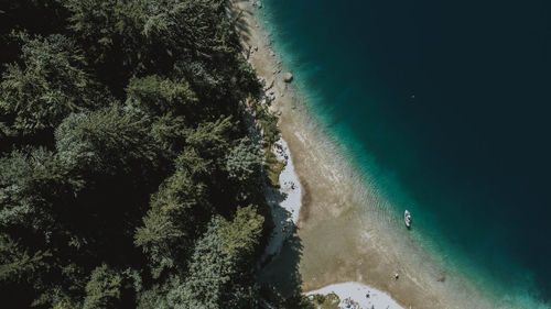 High angle view of trees on beach