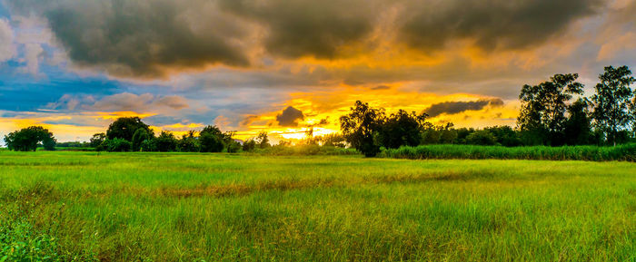 Scenic view of field against sky during sunset