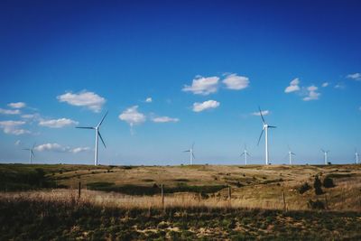 Wind turbines on field