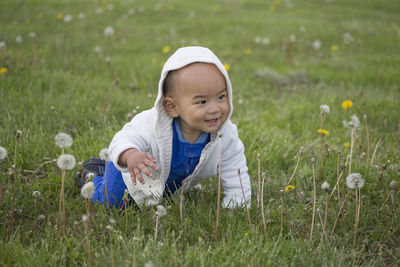 Cute baby boy crawling on grassy field