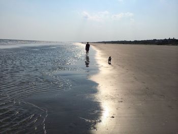Man and dog walking at beach against sky