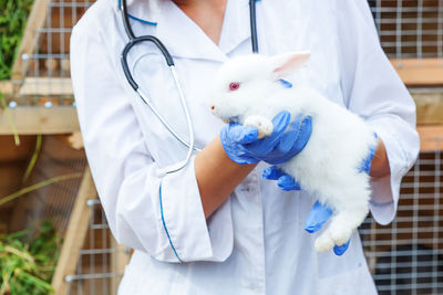 Midsection of woman with rabbit