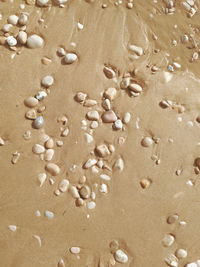 Full frame shot of sand on beach