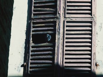 Close-up of wooden door