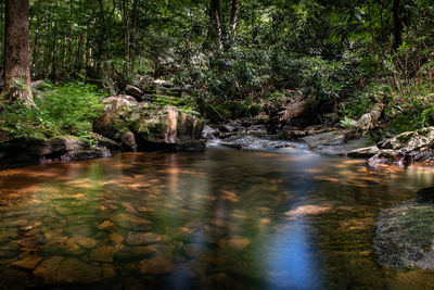 River flowing through rocks in forest