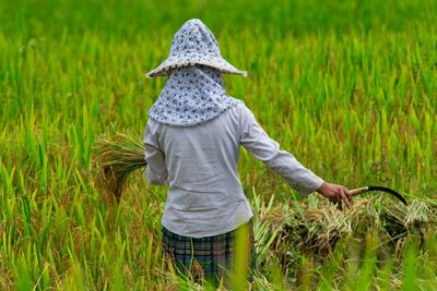 Rear view of farmer harvesting crops at farm