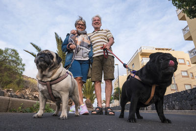 Two dogs standing on street against sky