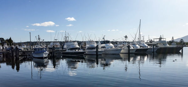 Boats in harbor