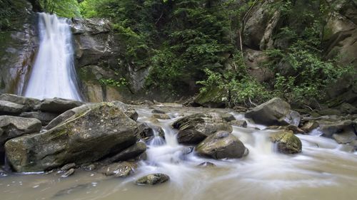 Scenic view of waterfall in forest