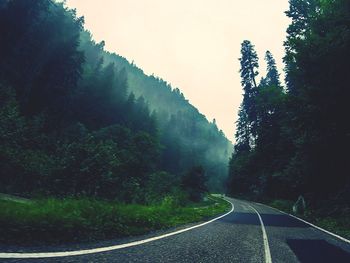 Road amidst trees in forest against clear sky