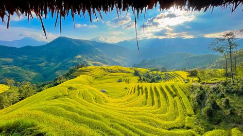 Scenic view of agricultural field against mountain