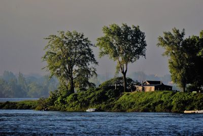 Trees by lake and buildings against sky