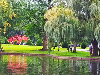 People in park by lake