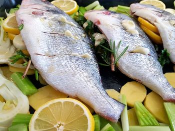 High angle view of fish for dinner