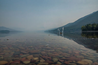 Scenic view of lake against clear sky