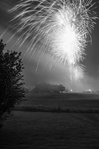 Low angle view of firework display at night