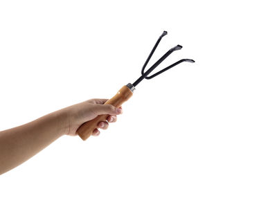 Close-up of hand holding twig against white background