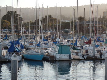 Boats in harbor