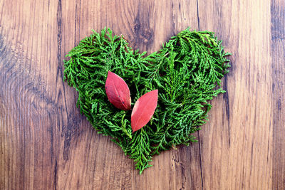 Directly above shot of heart shape on table