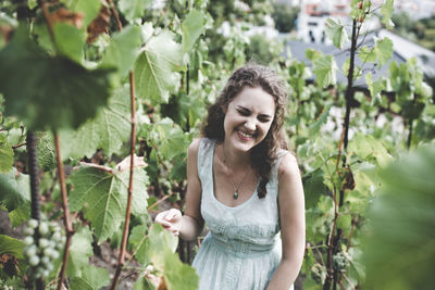 Beautiful curly hair young woman in a light blue simple dress in a vineyard. summer work in vineyard