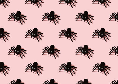 High angle view of silhouette plants against illuminated background