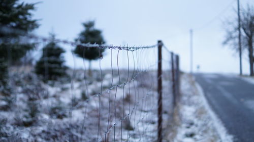 Snow covered trees against sky