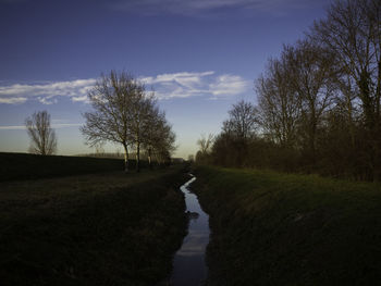 Bare trees on field against sky