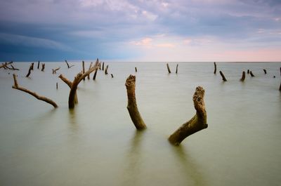 Scenic view of sea against sky during sunset