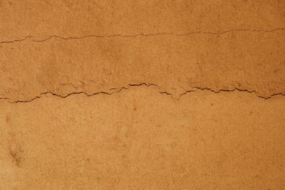 Close-up of paper