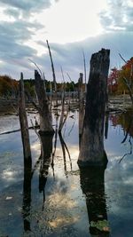 Reflection of clouds in water