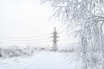 Snow covered landscape