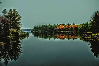 Reflection of trees in water