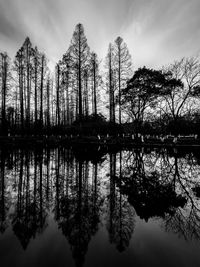 Silhouette trees by lake against sky