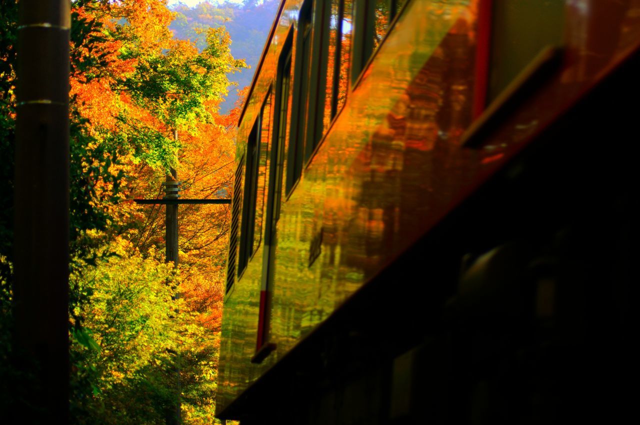 TRAIN ON RAILROAD TRACKS AGAINST SKY