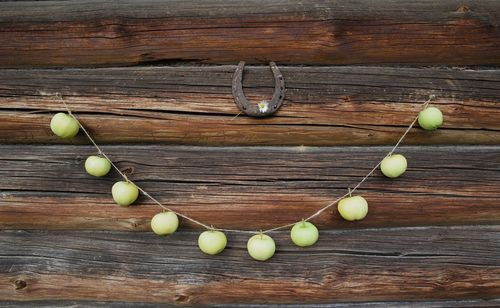 Fruits tied with thread hanging on wooden wall