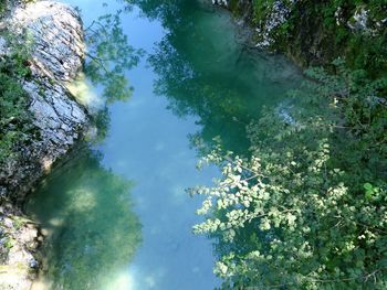 High angle view of trees by lake against sky