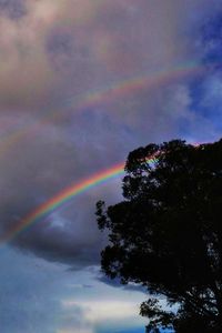 Silhouette trees against rainbow in sky