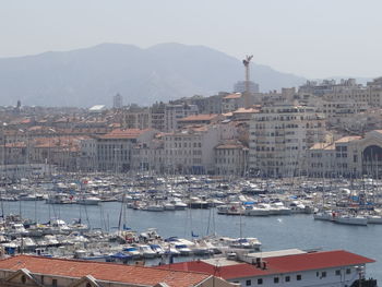 Sailboats moored on harbor by city against clear sky