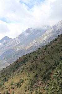 environment