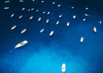 High angle view of sailboats in sea