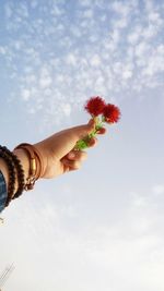 Close-up of hand holding flower against sky