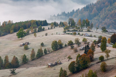 High angle view of trees on landscape against sky